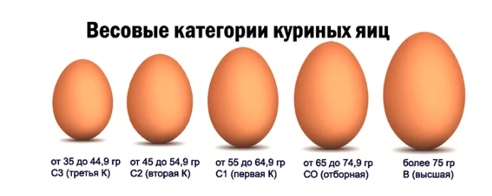 jajca po razmeram markirovka aac1fe9 - Яйца по размерам маркировка