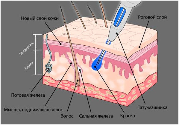 markirovka igolok tatu a856d35 - Маркировка иголок тату